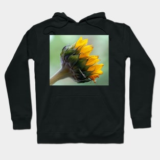 A sunflower Hoodie
